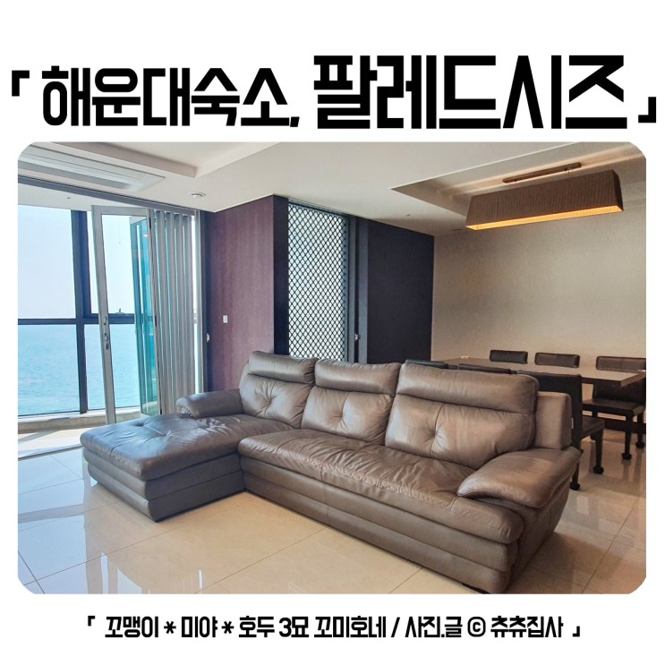 부산 해운대 감성 숙소 팔레드시즈 프레지덴셜 스위트