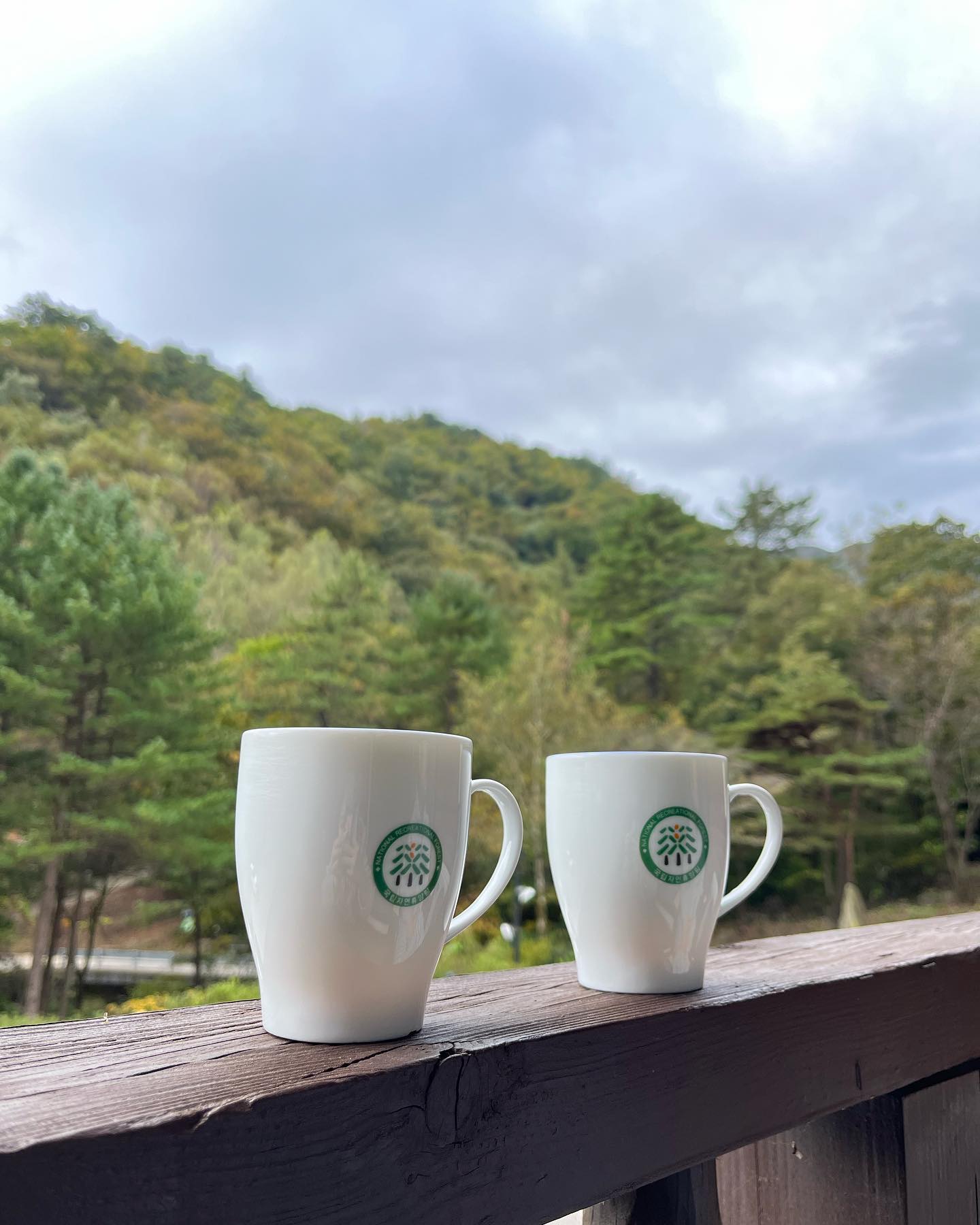산음자연휴양림 휴양관 일박에 6만원 이라는 저렴한 가격으로 좋은 공기 실컷 쐐고 왔다 대기인데도 돼서 급출발했는데 좋았다
