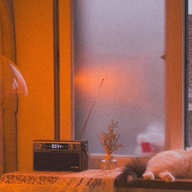 김적분(꽃분) on Instagram: "Marie at home"