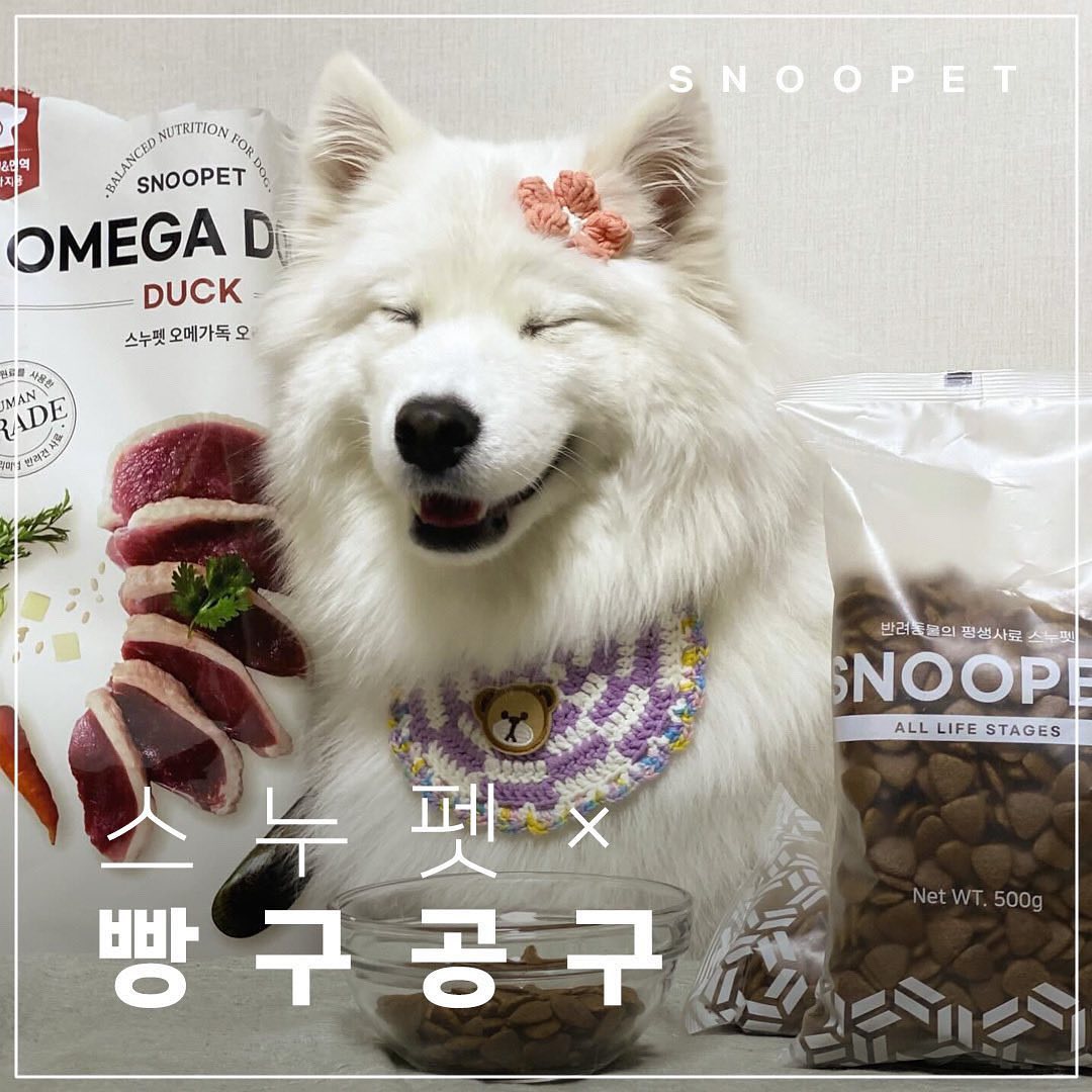 🩷 스누펫 사료 9차 공구 🩷

벌써 9차째 진행하는 스누펫 공구!!
그만큼 찾으시는 분을이 가장 많은 제품인데요~
아무래도 우리 아이 주식 사료라서 저도 미루지 않고 3개월 텀으로 가져오고 있어요 :)

이번에는 조금 짧은 기간동안 진행하니 꼭!!! 놓치지 마세요!!

💟 다음 공구는 3-4개월 후에 진행 예정입니다 참고 부탁드려요 ◡̎

 ✨ 스누펫 공구 제품 구성 ✨

🩷 프리미엄 사료 일반바이트 구매 시 파이밀 1팩 증정
🩷 프리미엄 사료 라지바이트 구매 시 빅 테니스공 증정
- 오리 오메가독은 증정품이 제공되지 않습니다

👉 모든 제품 소포장 되어있어서 신선하게 급여 가능합니다!

🧡 (양) 알파 일반바이트 8kg : 80,000 (정가 : 139,000)
🧡 (양) 알파 라지바이트 8kg : 80,000
 
💚 (연어) 베타 일반바이트 8kg : 80,000 (정가 : 139,000)
💚 (연어) 베타 라지바이트 8kg : 80,000
 
💜 (오리) 감마 일반바이트 8kg : 80,000 (정가 : 139,000)
💜 (오리) 감마 라지바이트 8kg : 80,000

🤎 (오리) 오메가독 일반바이트 10kg : 48,000 (정가 : 69,000)
🤎 (오리) 오메가독 라지바이트 10kg : 48,000

📌 공구 기간 : 1월 31일 ~ 2월 2일
🔗 프로필링크에서 구매 가능 
📦 전부 무료배송
💌 문의는 DM 주세용 💌

#스누펫 #스누펫사료 #스누펫공구 #강아지사료공구 #대형견사료 #대형견사료공구 #빵구네공구 #스누펫사료공동구매 #체중관리사료 #강아지사료추천 #대형견사료추천