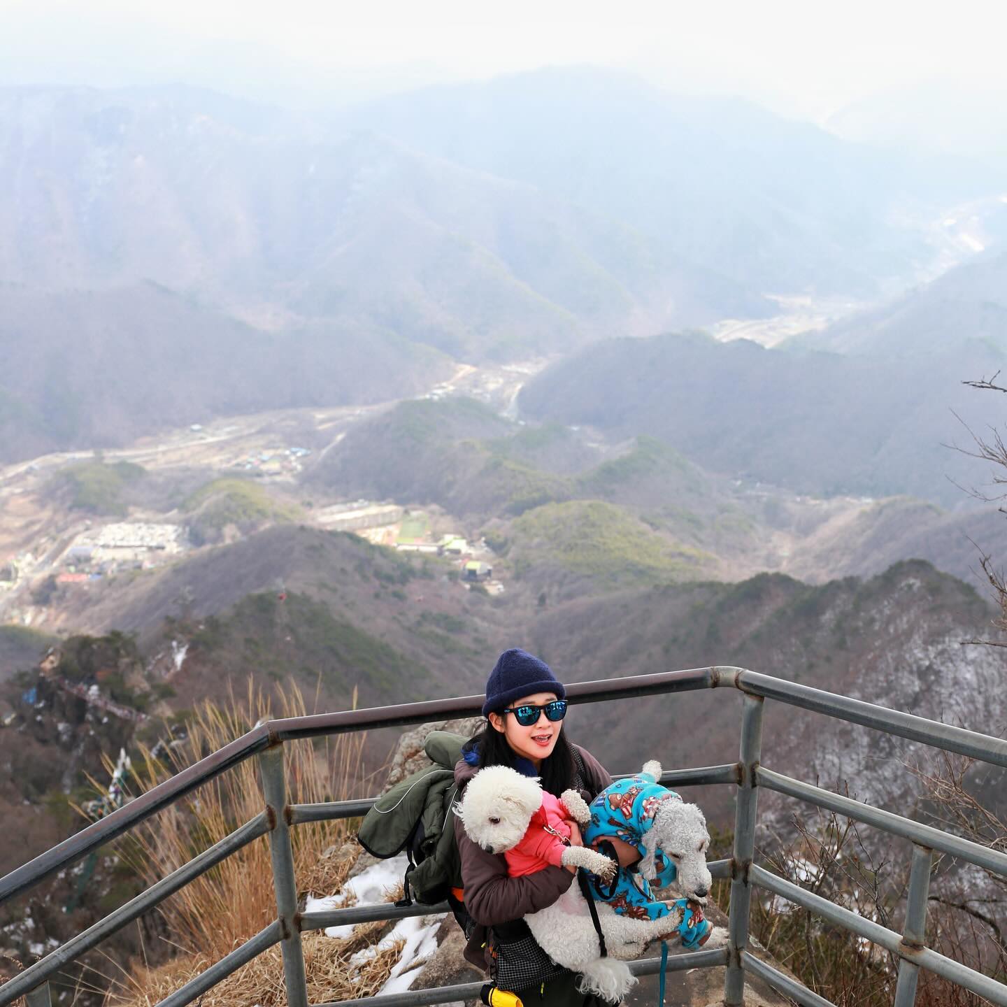 #julymountainclub #개인사진❤️

이번산행에 함께해주신
금손 msg_dryticket 건표행님이 대포카메라로
고퀄리티 사진 찍어주심👍👍👍🔥😍

너모너모 감사합니다!!!!!!!🤟
우리 라잇이는 산에 같이 따라왔다가
강아지 화보 찍었따!!!!!!!!!! 
강아지 소개팅할때 프로필사진으로 내도 될 정도야!!!!
.
.
#oudoors #adventuretime #explorer #travel #mountains #trip #trekking #hiking #summit #instagram #yolo #여행 #트레킹 #하이킹 #청춘 #힐링 
#등산 #산스타그램 #등산스타그램 #산스타그램🌳🌲🌿 
#아웃도어 #상고대 #대둔산 #대둔산도립공원 #대둔산눈꽃 
#설산 #라마산악회 #안내산악회