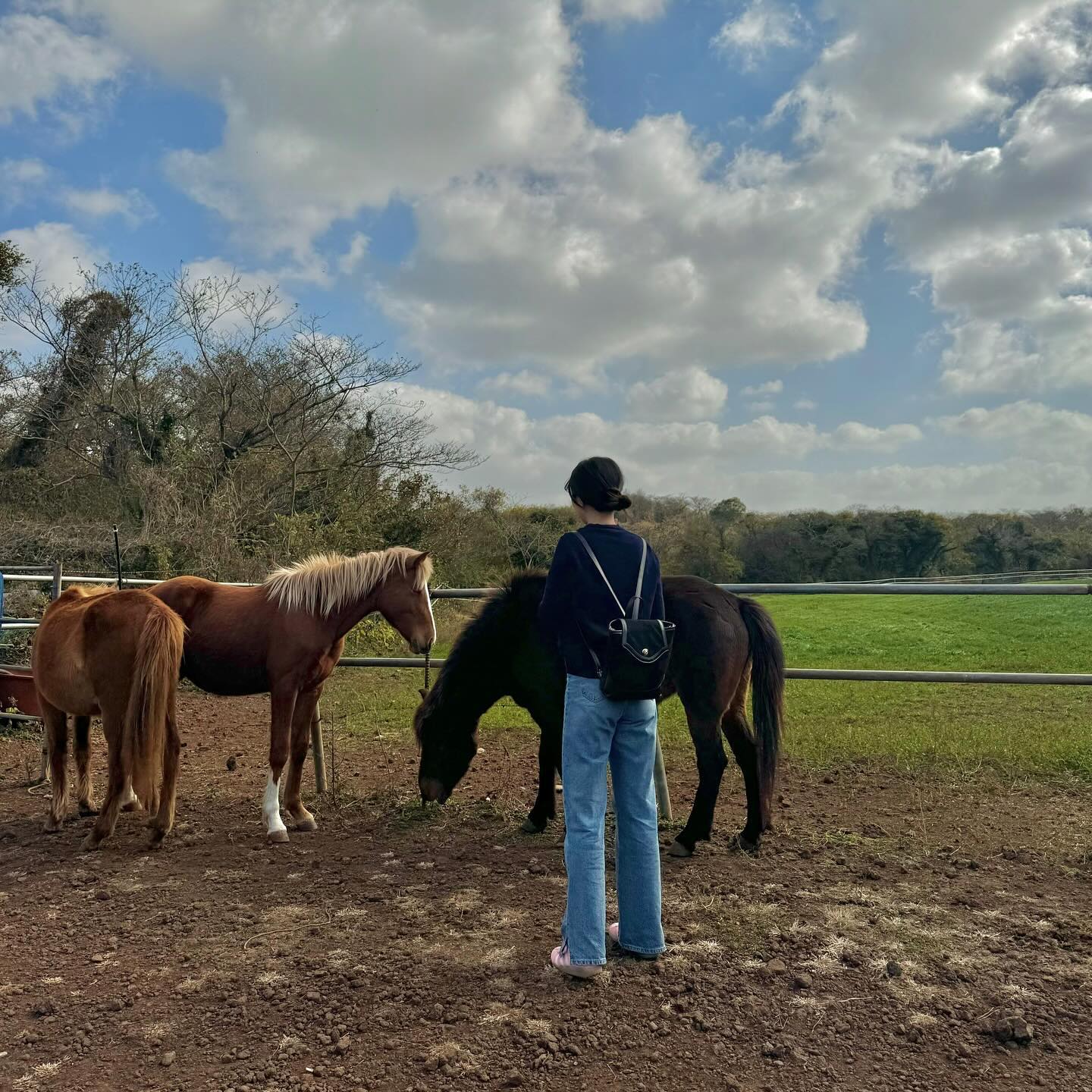 진짜 말이 내 옆에 막 다니는데 너무 신기하구 사람도 없어서 좋고 제주에서 제일 잘 간 곳 .. 🐎🍃

#하니_제주 #제주도오름 #제주도가볼만한곳