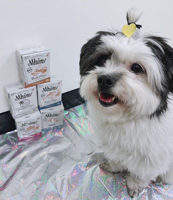 팬돌이 코르🐶 on Instagram: "🇪🇸스페인에서 온 #딩고나투라의 습식사료 “밈스”는? 👉신선한 천연재료만을 엄선해 생산 👉83% 이상의 신선한 육류 사용 👉슬로우 쿠킹방식으로 영양소