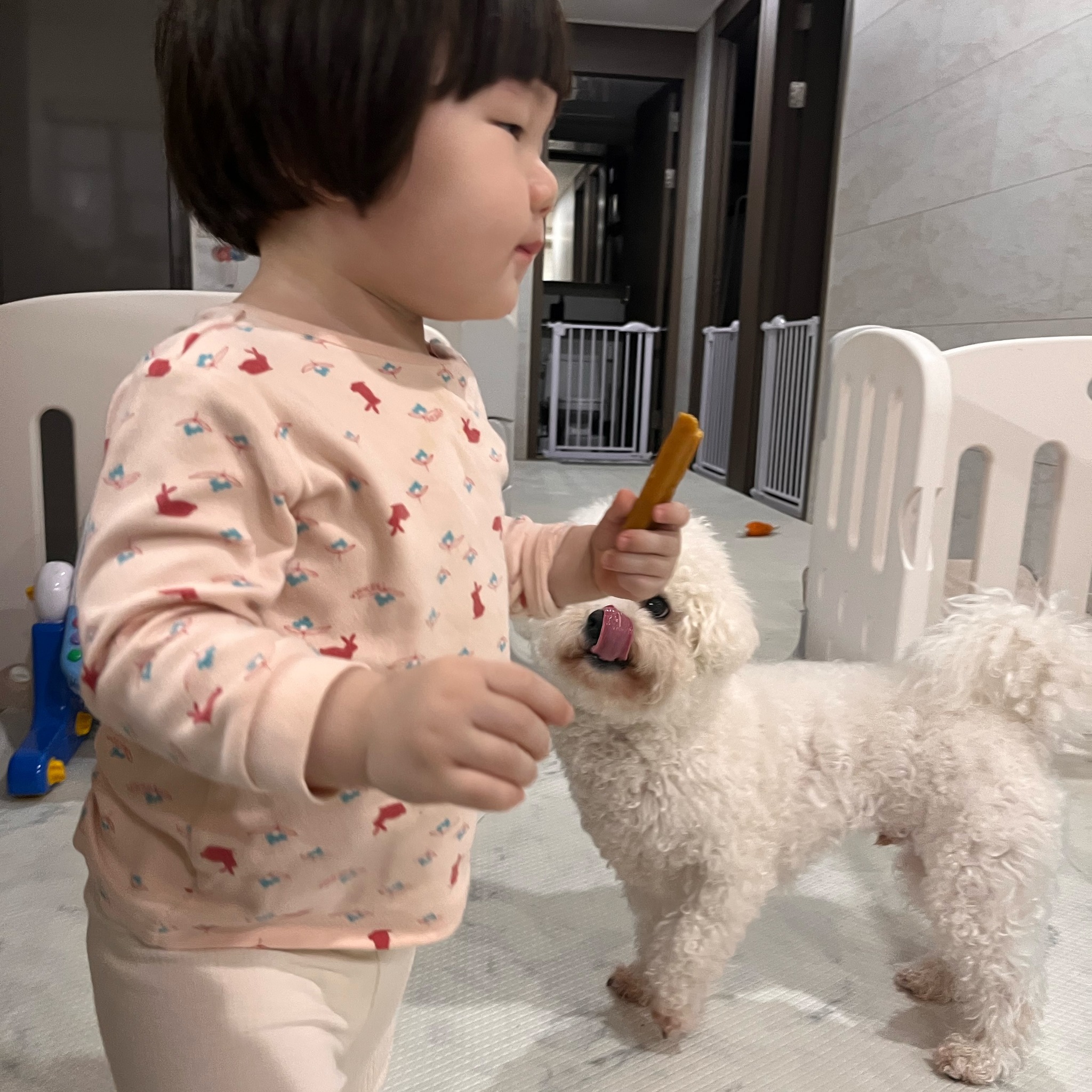 동생껀 다 맛있어보여
