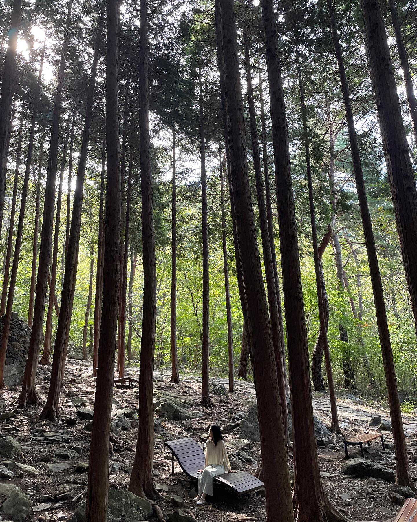 여행의 마무리는 피톤치드로🌿
.
📍성주산자연휴양림
💰입장료 1천원/인 (주차 소형 2천원)
📣꽃무릇이 유명한데 꽃무릇은 다 져버림🥲
.
#성주산자연휴양림 #보령여행 #보령가볼만한곳 #충남여행 #rg커플 #rg커플여행지추천 #가을여행