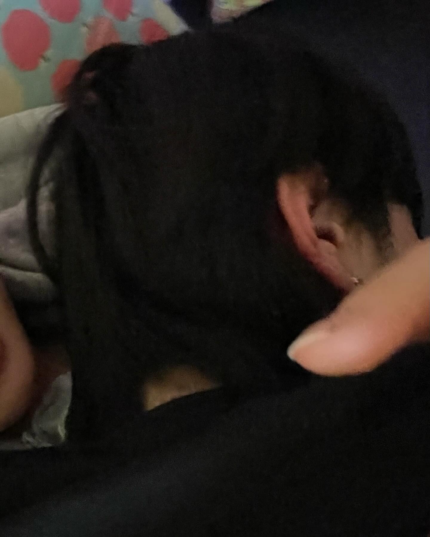 박서진키우깅