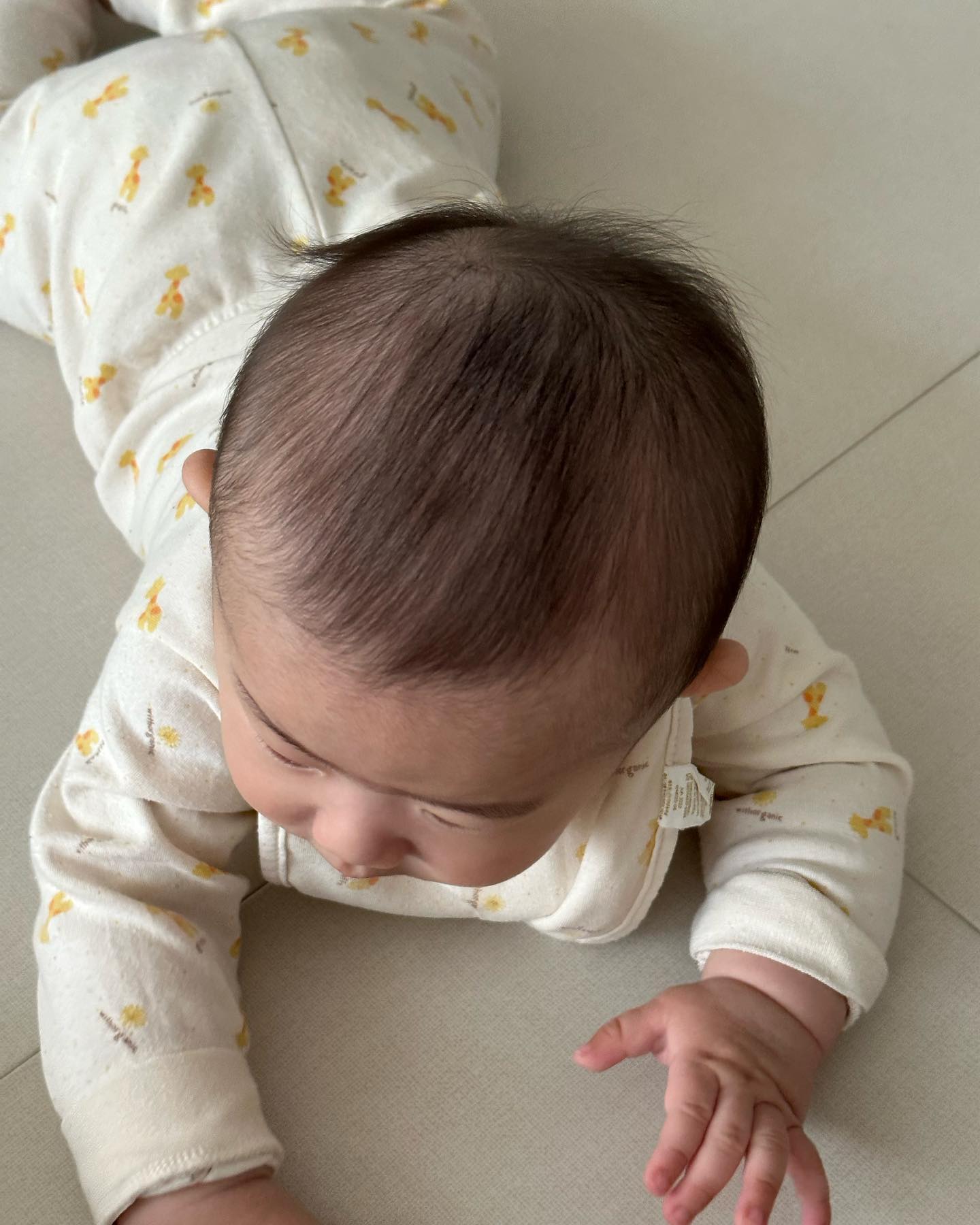👶🏻 인생182일차 : 이시아 쇼핑

머리카락도 많이 자라서 베베꼬이구~ 
사진찍으면 가만히 안있어서 베스트컷없고~
키 많이커서 어린이같고~
코어 힘 장난없꾸~~
모자쓰면 졸귀탱이구~
예뿐거 있으면 다사주고싶고~
오른발로만 배밀이하규~ 
누워있으면 좋겠고~~~~~☆