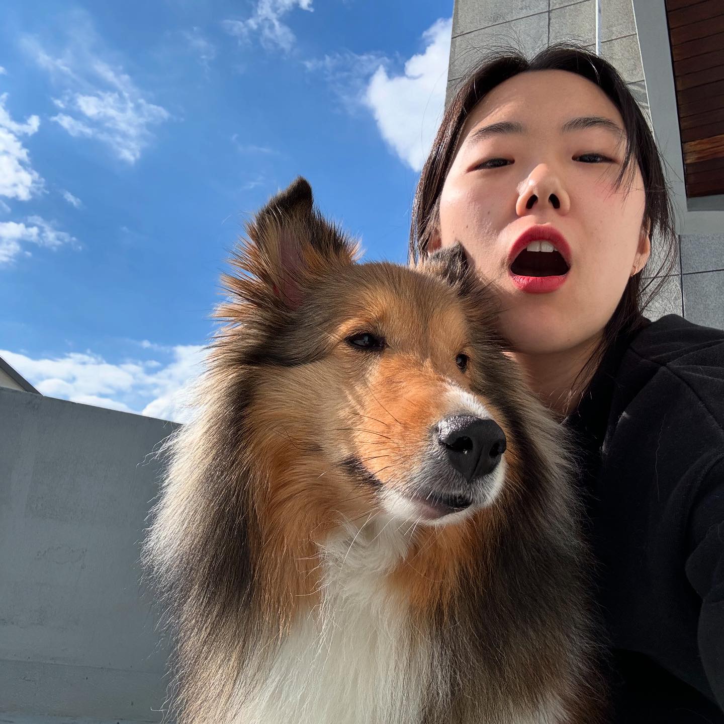콘텐츠