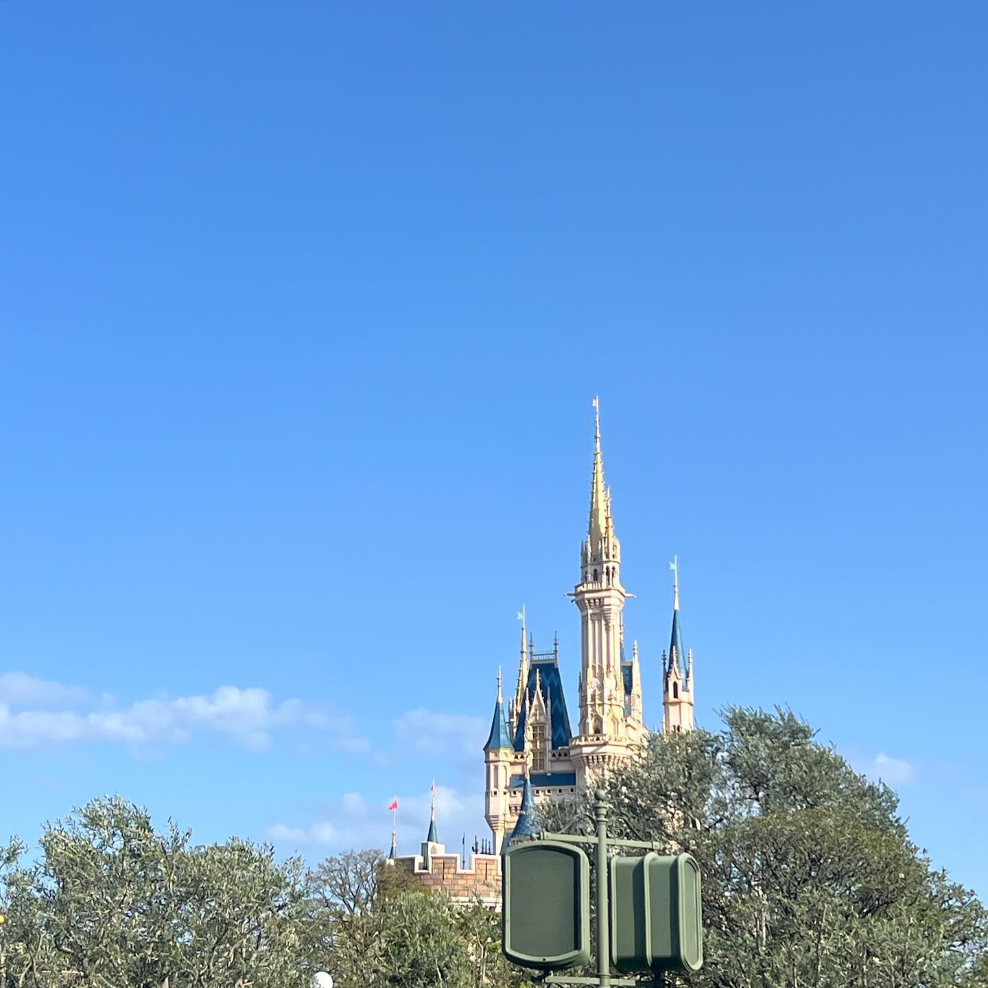 🏰
디즈니랜드는 처음이잖아💙
날씨 좋고 온~통 귀여운것들이라 넘나 힐링🥹