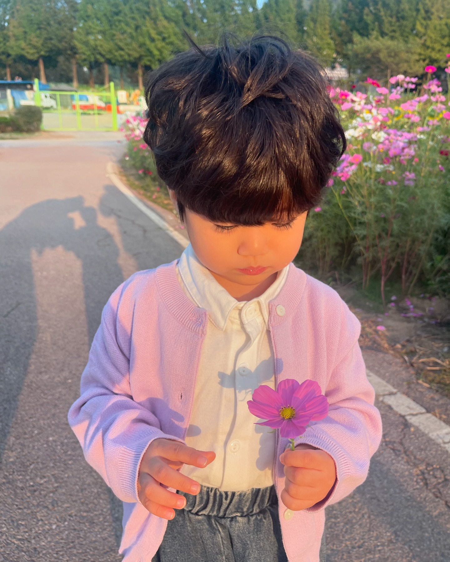 🐯_D+917

코스모스사랑🥰🥰
