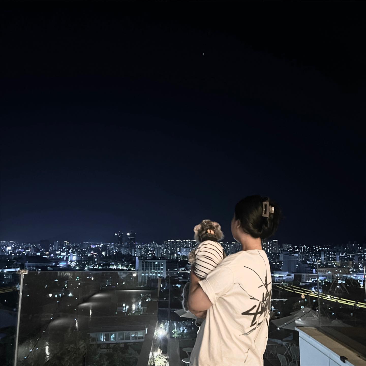 🐶⭐️