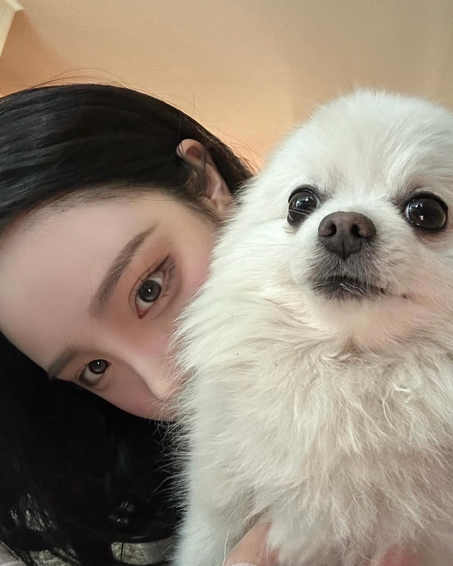 루이 14세 사랑해 강아지
