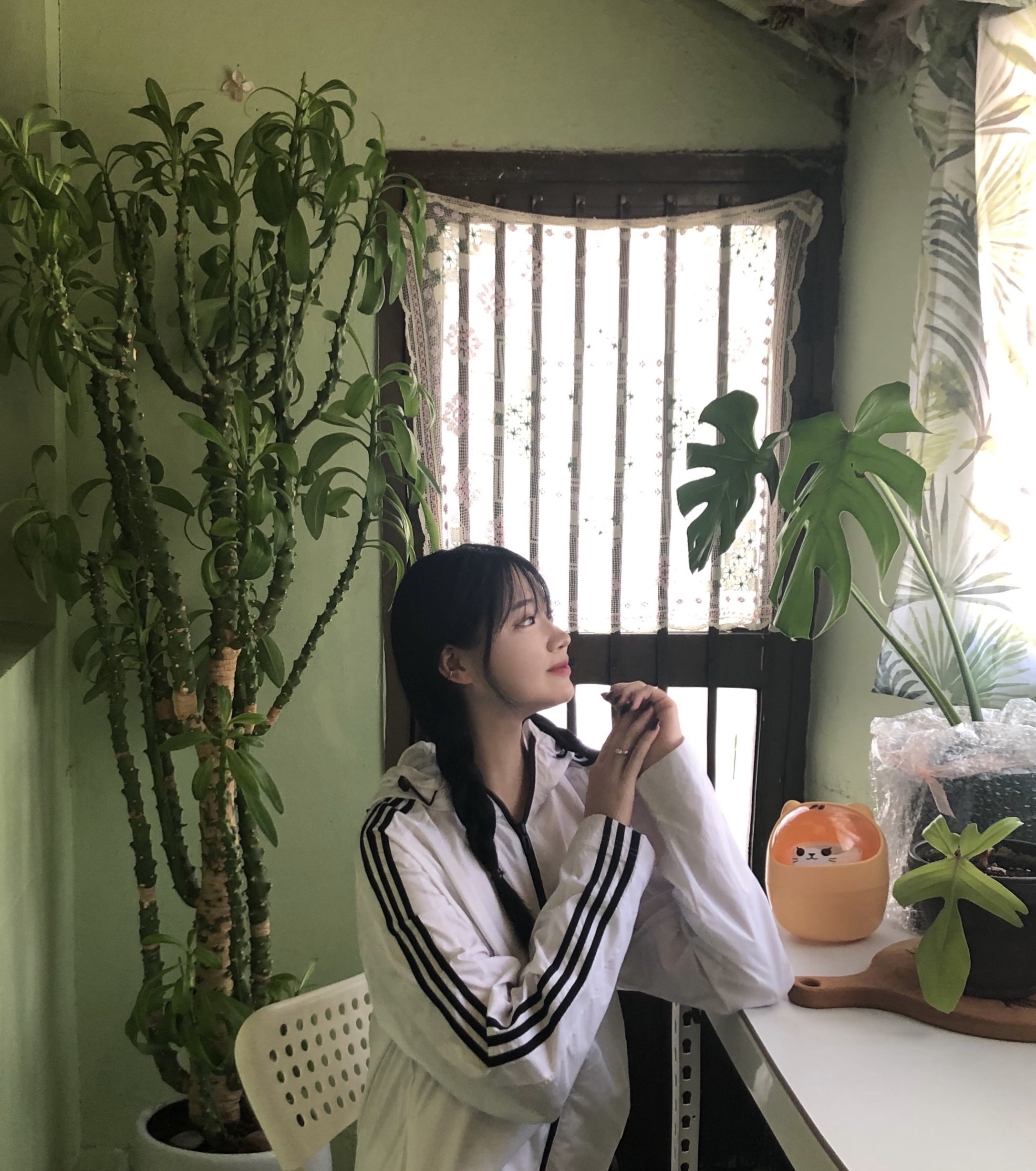 콘텐츠