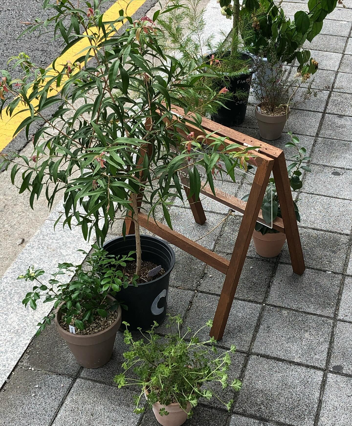 콘텐츠