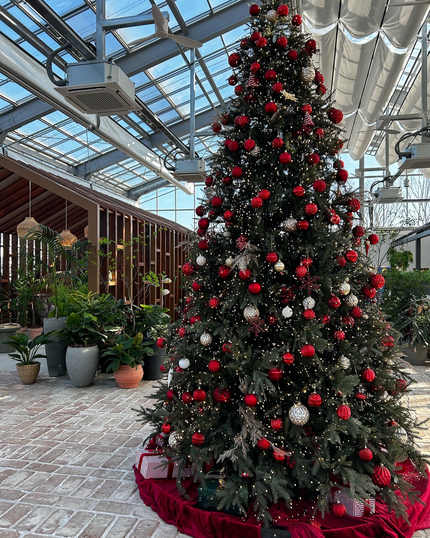 올해 #메리크리스마스#🎄

세번째 함께하는 12월의 어느 날, 밥먹자 빵먹자
