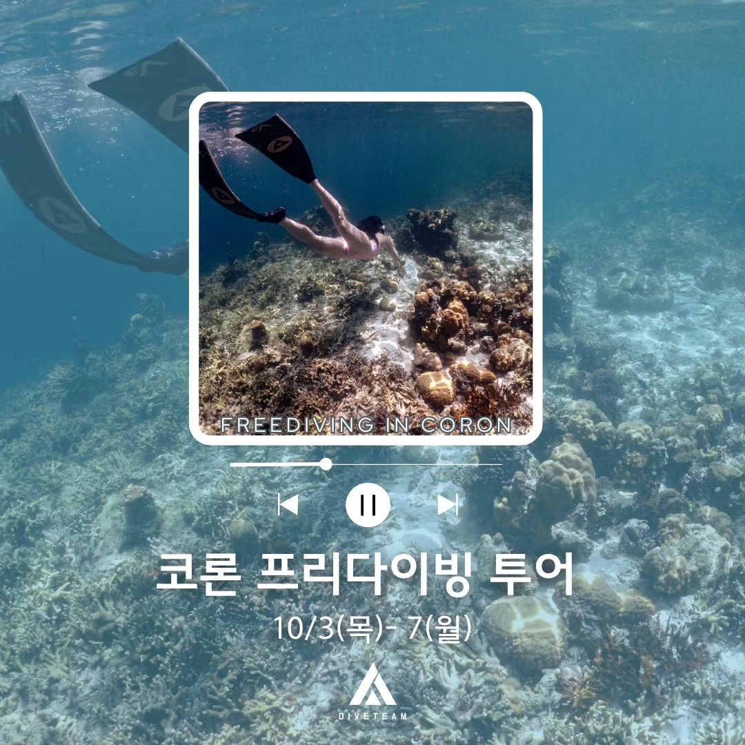 10월 코론 프리다이빙 투어💙
제가 정말 많이 좋아하는 바다, 필리핀 코론입니다!!

때묻지 않은 자연부터, 놀기좋은 동네, 
흔히 보기 어려운 듀공,
코론 명물 마퀴닛 온천까지!!!!
완벽 그잡채의 황홀하고 다이나믹한 바다,
프리다이버의 사랑을 받는 코론으로 함께 떠나요🥰

코론에서 할 수 있는 온갖것들, 다 포함된 코론투어 입니다✨️

✔️일자: 10/3~7(목-월) 2일연차, 4박5일 일정

자세한 내용은 DM 이나 다이브팀A 카카오채널로
연락주세요😜

✨️꿀잼 투어 강력 보장!!!!!✨️

#프리다이빙투어 #코론 #코론프리다이빙 #슬슬님
