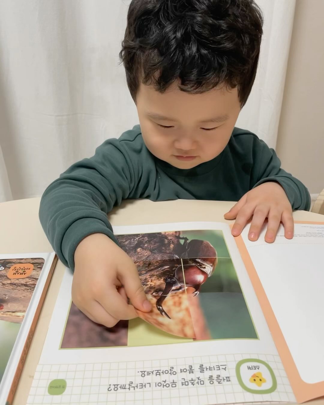 #협찬 

아이가 블루래빗 자연관찰 책을 만나고선
너무나 집중해서 독서를 잘하는거 같아요🤓

집중해서 보니 탐구 사고력도 좋아지는거 같아요

확실히 생동감 있는 그림과🦋
실사이지만 보기에 눈이 편한 그림과🪻
토끼펜과 함께 듣는 다양한 동물 곤충소리까지
다양한 방식으로 책을 읽어나가니
순간 집중력 상승!

한가지에 길게 집중을 못하는 4살 아이가
생생 자연관찰과 할땐 다양한 자극으로 
쭉 집중력 있게 한권을 끝내니 
보는 엄마는 핵만족해요🤎

책을 다 읽고 나서 독후활동으로📚
스티커 액티비티책으로 놀이로 복습하니📖
엄마가 읽어준 내용이 머리속에 쏙쏙 들어가요

아이와 함께 소통하며 자연을 함께 느끼고
소중함을 배울수 있는 소중한 경험 🌿

bluerabbit_official_korea 에게 감사합니다😍

#겨울방학 #전집추천 #자연관찰 #유아전집
#블루래빗자연관찰 #새해첫전집 #자연관찰전집
#자연관찰추천 #누리과정 #초등교과과정 
#통합사고 #체험학습 #탐구사고력 #블루래빗 
#4세전집추천 #국민전집 #자연관찰책 #토끼펜