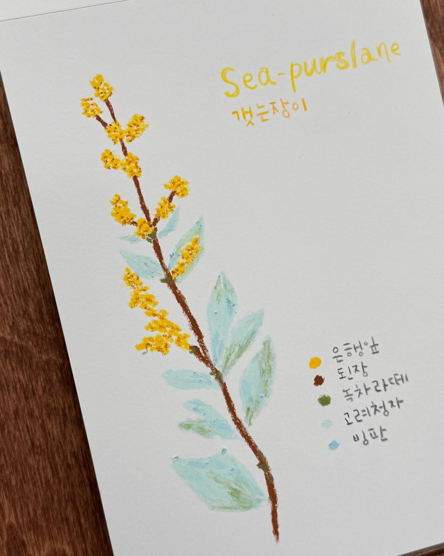 오늘의 야생화는 Sea purslane💛
노랗고 작은 꽃망울들이 넘넘 귀여워서 그려봤어요
오일파스텔꽃그림은 너무 재밌어✔️

📍파주 운정 해오름마을 작업실 운영중
➿작업, 행사, 수강 문의 및 의뢰
➿0507-1374-7157

#일상 #데일리 #daily #christmas #ornaments #christmasornaments #illustration #watercolor #drawing #오일파스텔 #oilpastel #아빈캘리그라피디자인 #꽃 #꽃스타그램 #flower #flowerstagram #oilpastelflower #wildflower #seapurslane