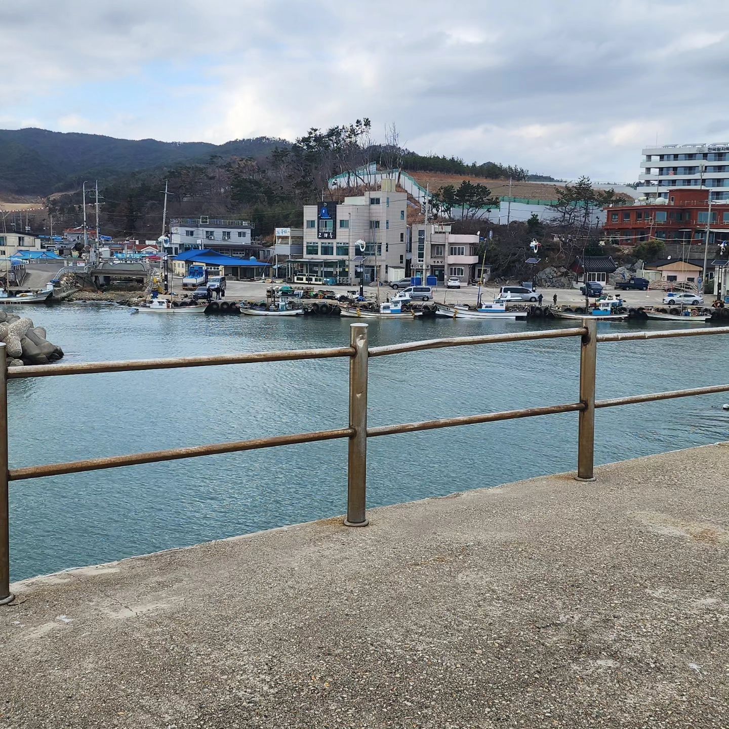 #경주#감포읍#대본해안길#바닷가