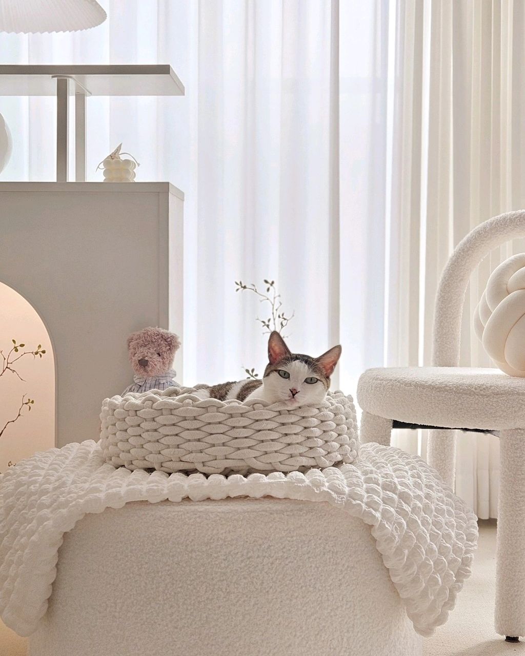 울 애기 낮잠자려는데 불러서 뚱~~

#예쁜고양이 #막냉이 #아홉살고양이 #냥스타그램