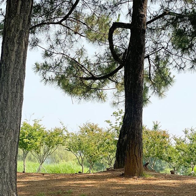 푸푸 on Instagram: "-#제품제공 푸푸랑 푸누 피크닉 좋아하는건 오찌아시고 이리 갬성 가득한 피크닉매트를♥️ 매번 사용하는 피크닉매트는 네모네모한데 이케 둥글둥글한 타입은 처음