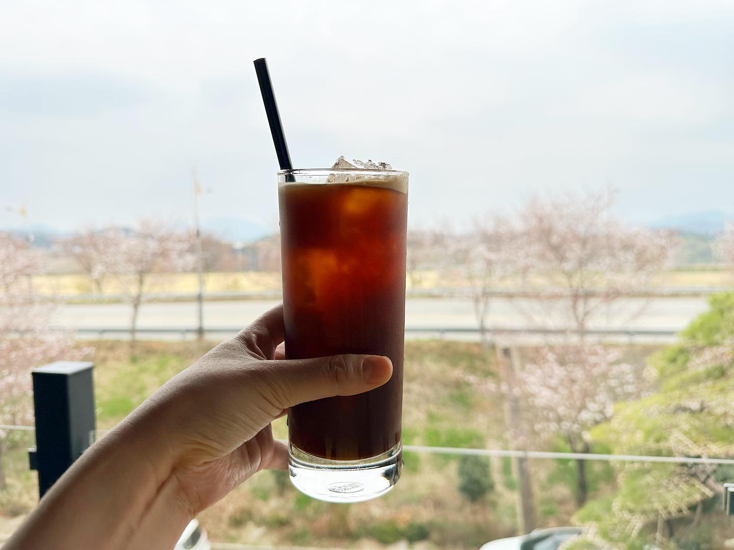 본가가서 엄마랑 데이트.
카페나들이. 이쁜곳. 
벚꽃 만개하고 유채피면 너무 이쁘겠다!

담에 또 가야지~~^^
.
#룡룡맛집 #남지카페 #아메리카노☕️ 
#남지카페 #남마뮤지엄 #namamuseum