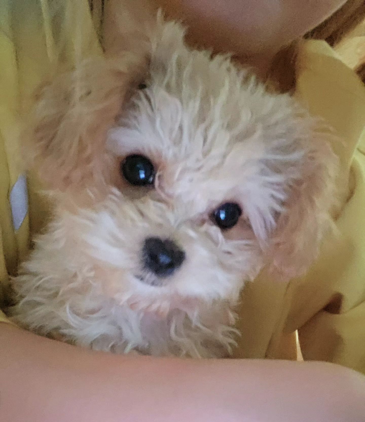 모카빵♡