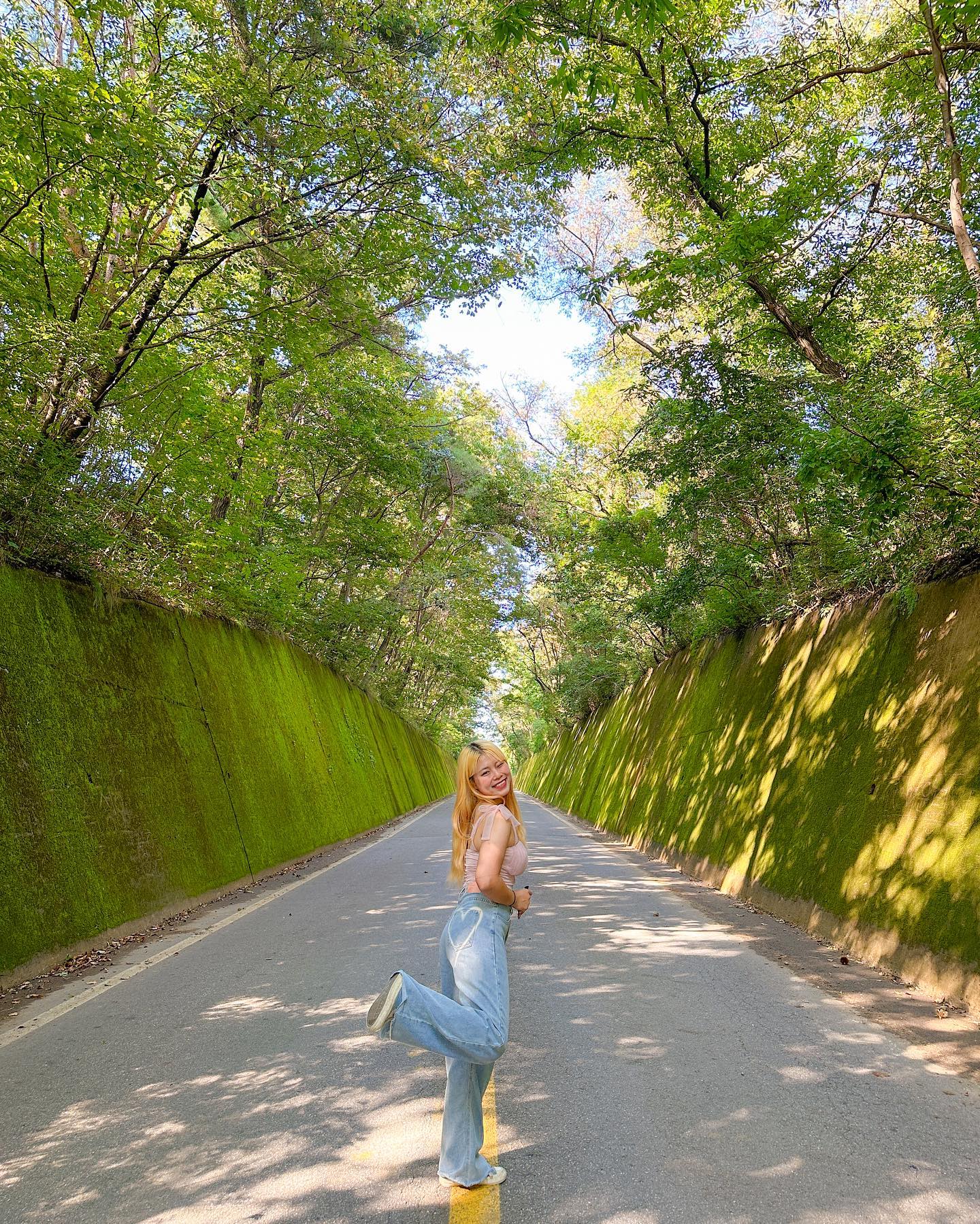 늦었지만 올려보는 예쁘면 단양!💚

푸릇푸릇 비밀의 터널 같았던 이끼터널🌿
우거진 나무 사이로 떨어지는 햇살도 아름다웠던 터널이에요.

저는 전동바이크를 타고 다녔는데요,
바람을 가로 지르며 신나게 달리다가
잠깐 주차하고 사진도 찍었어요 🚴

터널 벽면에 많은 이름들도 적혀있는데
낙서한 자리로는 이끼가 자라지 않아요 🥲

🌿단양 이끼터널
▫️수양개상회cafe 인근 주차
(충북 단양군 적성면 수양개유적로 374-3)
▫️차가 지나가는 도로라 사진 찍을 때 차 조심! (시속 30km 속도 제한 있음)
▫️벽면 낙서 금지! 잠깐 정차하고 진짜 낙서하는 사람들도 있더라고요..ㅋㅋ..
▫️23.9.7 촬영

#지금은더는 #은더는단양 #은더_충북 #이끼터널 #단양여행 #예쁘면단양