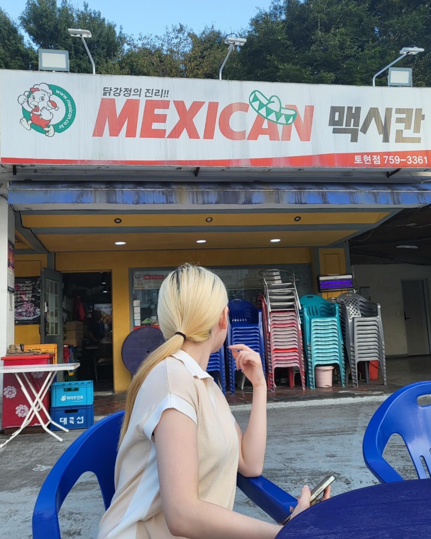 노상의 계절이 오구이땹,,,🥰