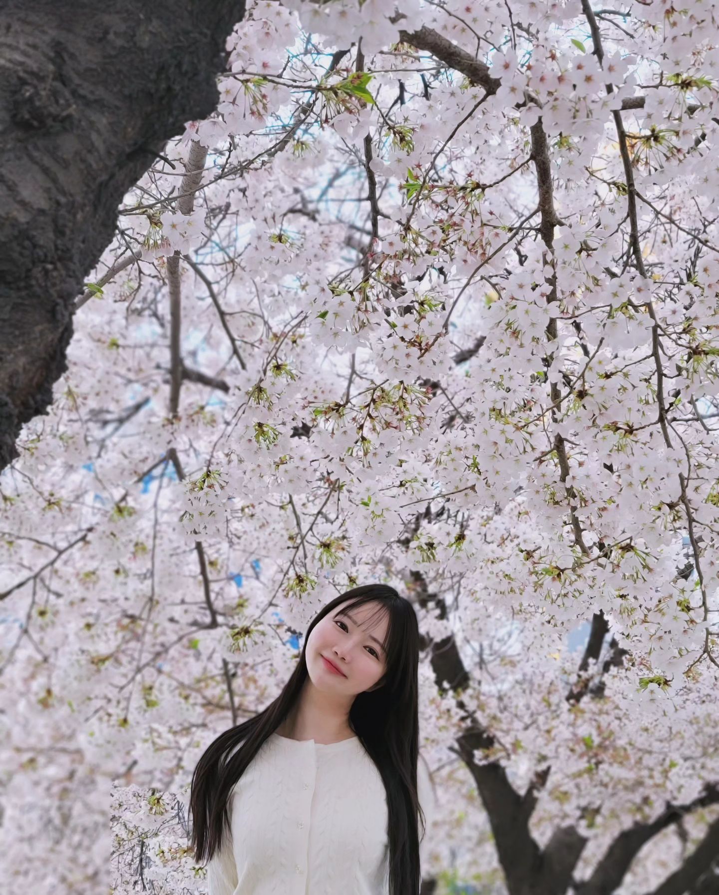 ⠀⠀⠀⠀⠀ ⠀⠀⠀
많이 늦은 뒷북 사진
1년 중 벚꽃 필 무렵의 날씨가 최고인듯🌸
⠀⠀⠀⠀⠀ ⠀⠀⠀