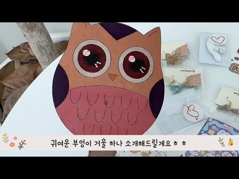 돈을 가져다준다는 부엉이거울 데일리 거울로 딱🧡