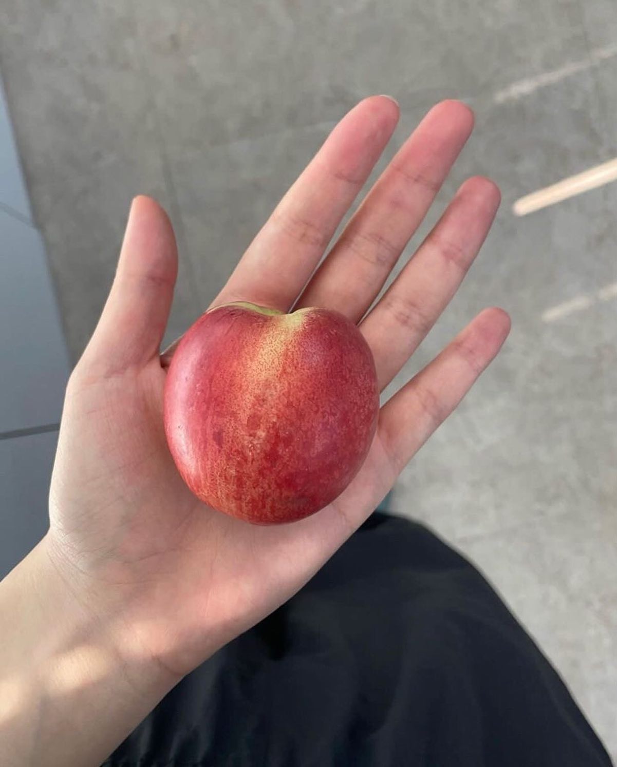 🍎ྀི