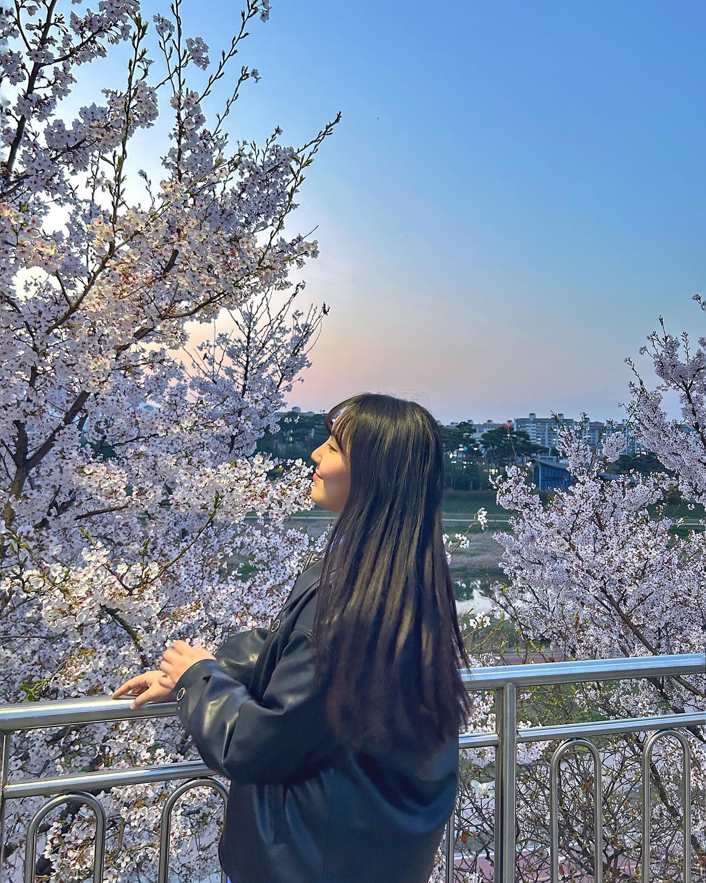 🌆+🌸=💕
#벚꽃명소 #벚꽃놀이 #데일리룩 #가죽자켓코디