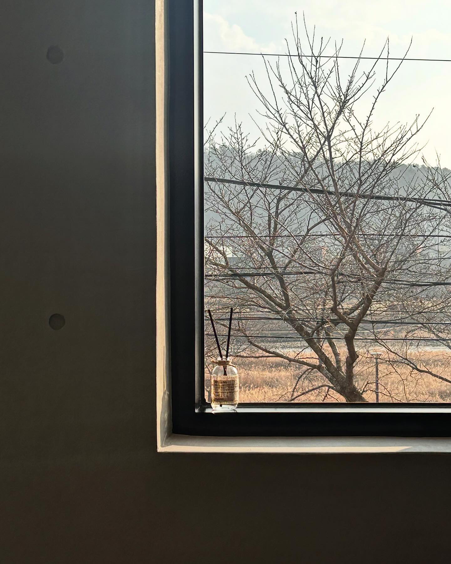 잘돌아다니고 있슴다