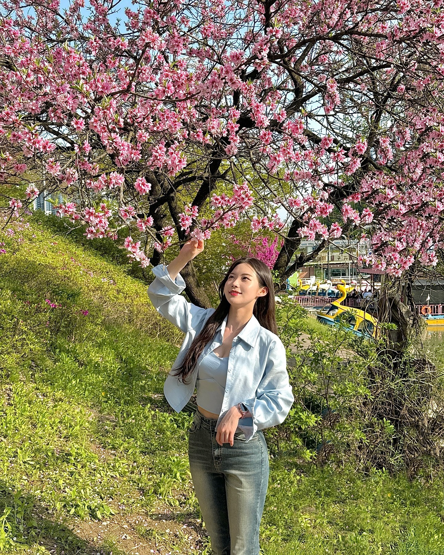 핑크빛 봄💖