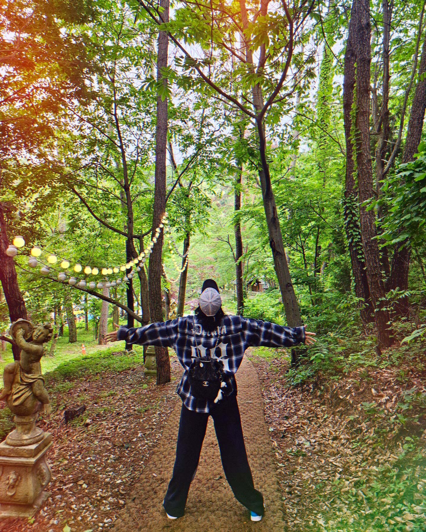 🌳🍃💚