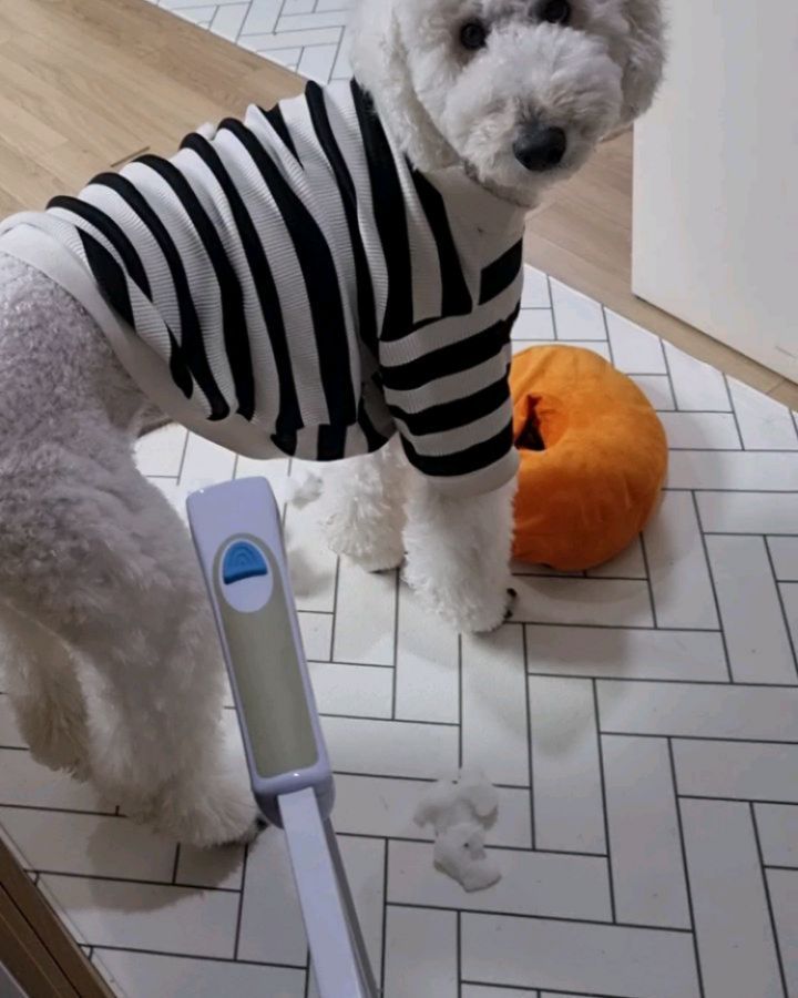 #사고뭉치