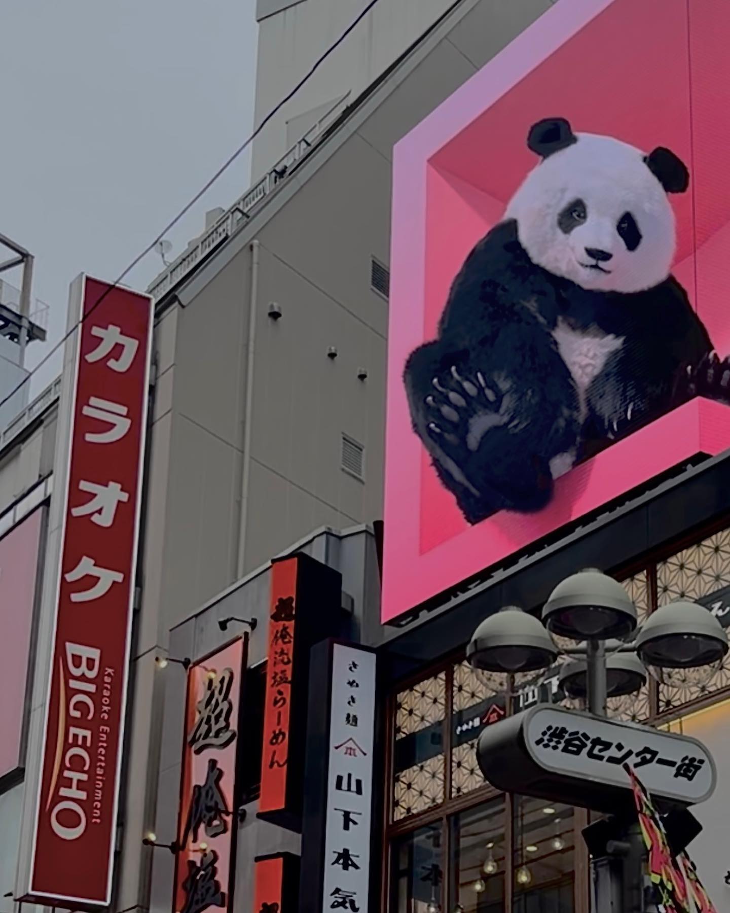 나홀로 음주여행