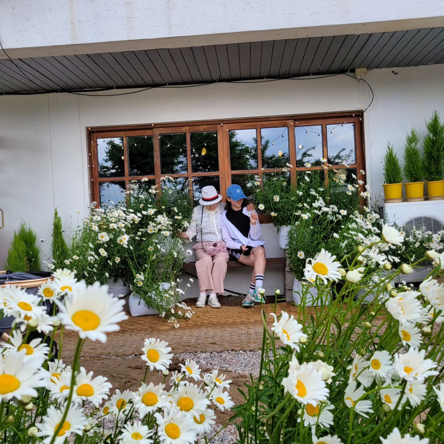 #춘천

지난 꽃놀이