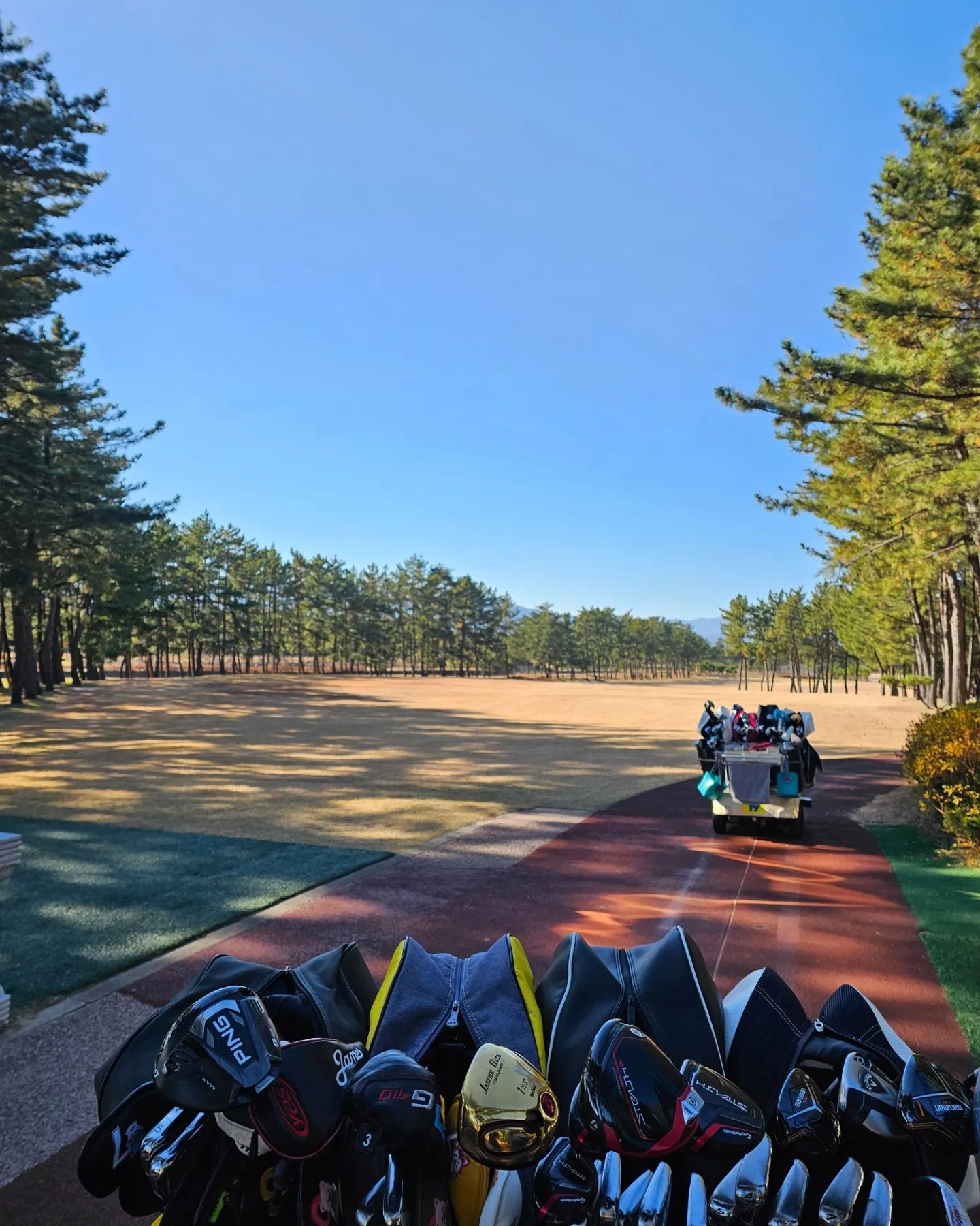 #라운딩⛳️ 
강릉공군체력단련장

내가 여길 또 오다니.
17000보예약. 
#진정한체력단련장 

날씨도 많이 춥지않고 재밌었지만 
골반은 나갈지경.

어제 프로님이 나 라운딩간다고 걱정하셨는데
그래도 오늘 좀 선방한듯.ㅋㅋㅋ

#골프 #골프스타그램 #골프장 
#golf #명랑골프