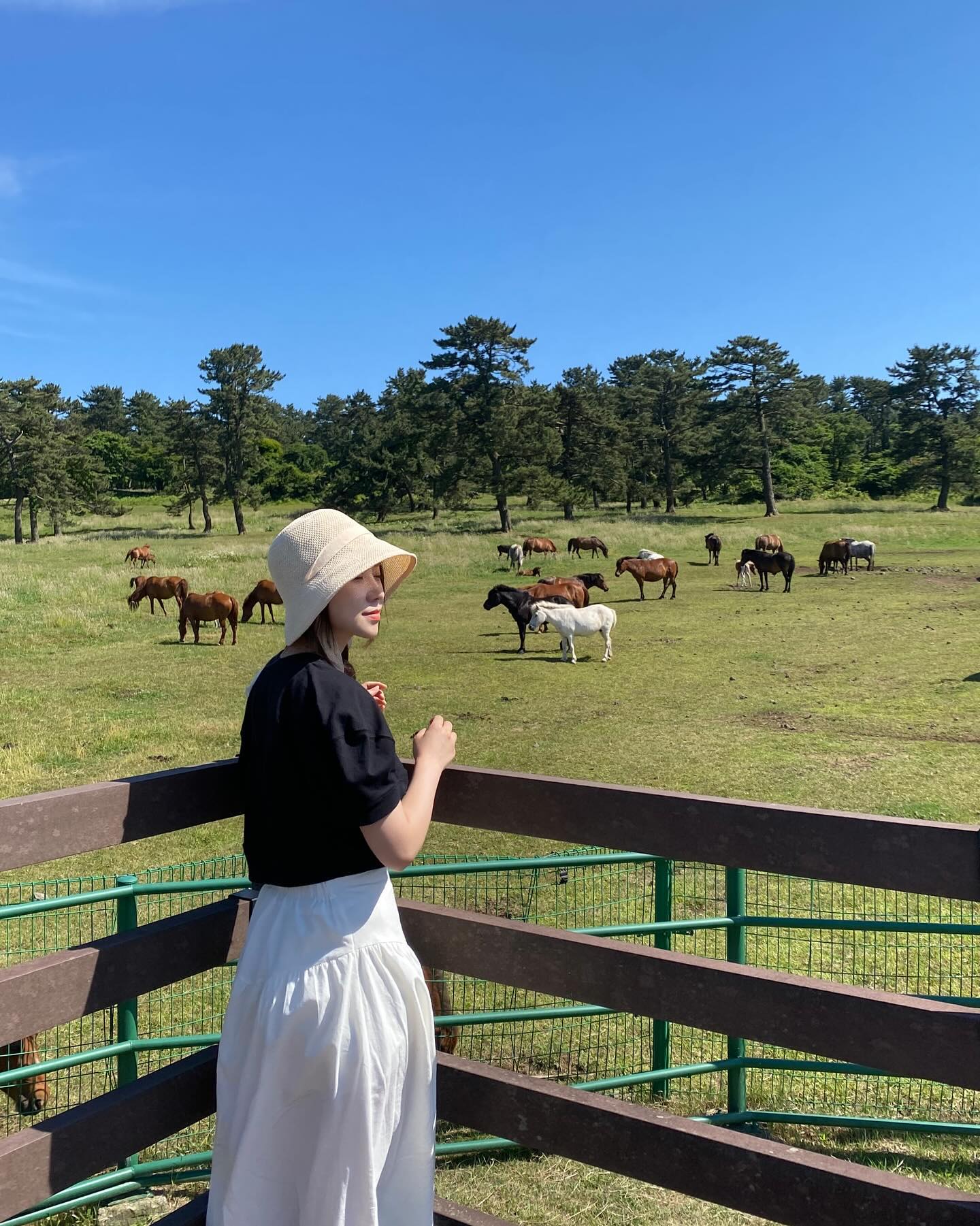 멋있오 🐎