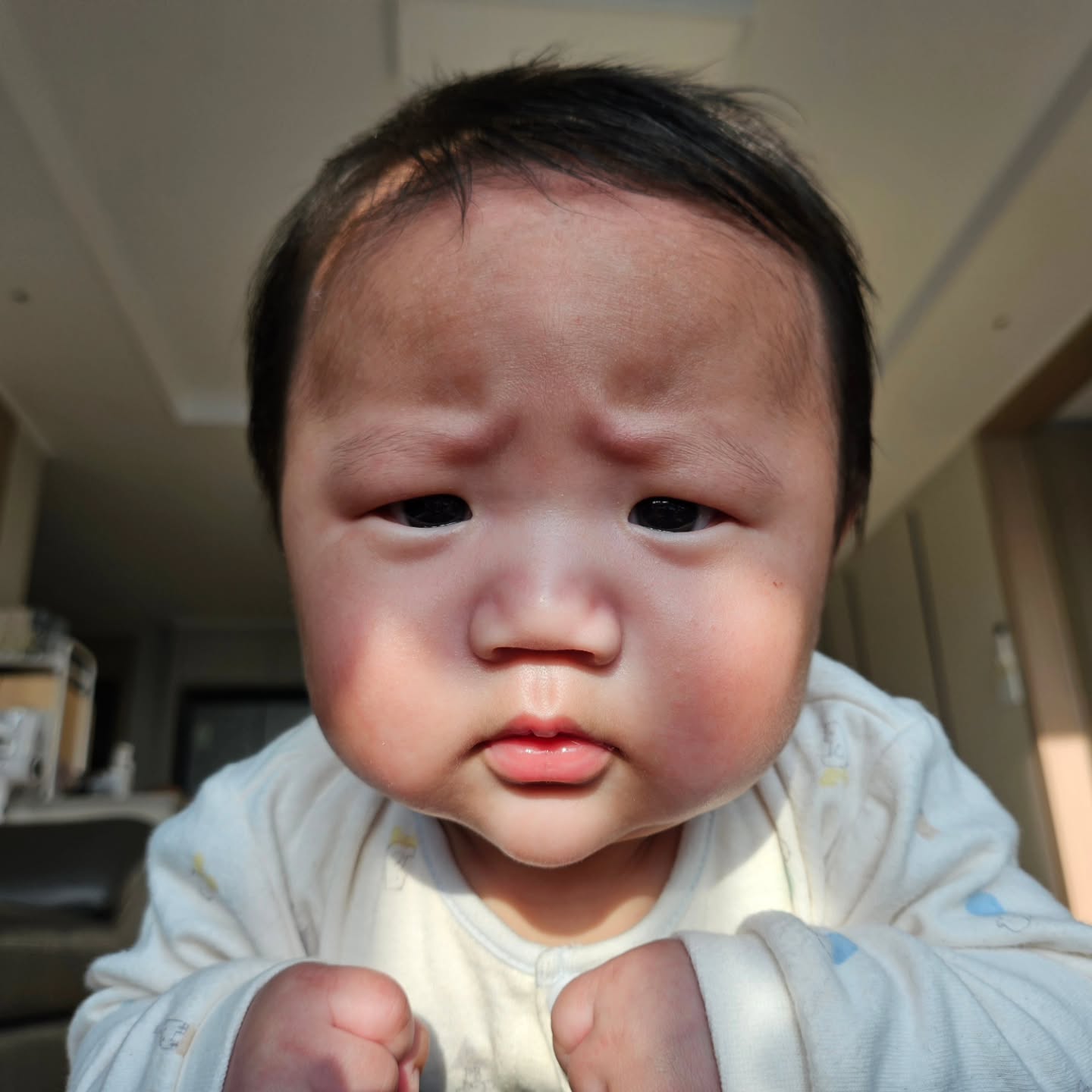 𝓙𝓪𝔂𝓿𝓮𝓵𝔂
👶🏻 표정으로 대화해볼까? • ᴗ •
#표정부자 #귀엽재이
#용띠아기 #생후77일 #babyboy
#엄마랑놀기 #배밀이연습중