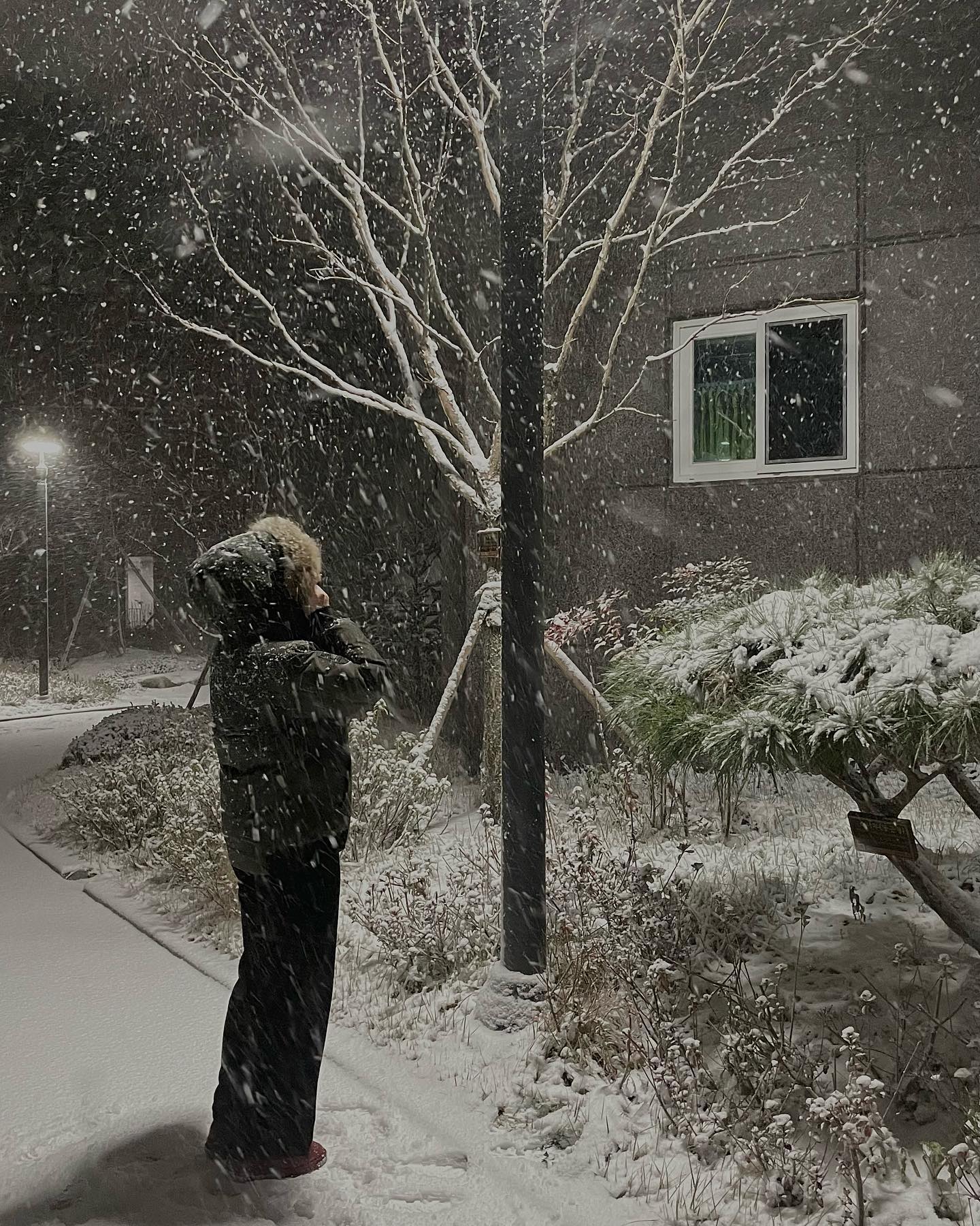⠀
스노우볼 안에 들어온 느낌☃️
⠀
눈오리 집게 사려다가 참았는데
지금 너무 후회중이에요😭