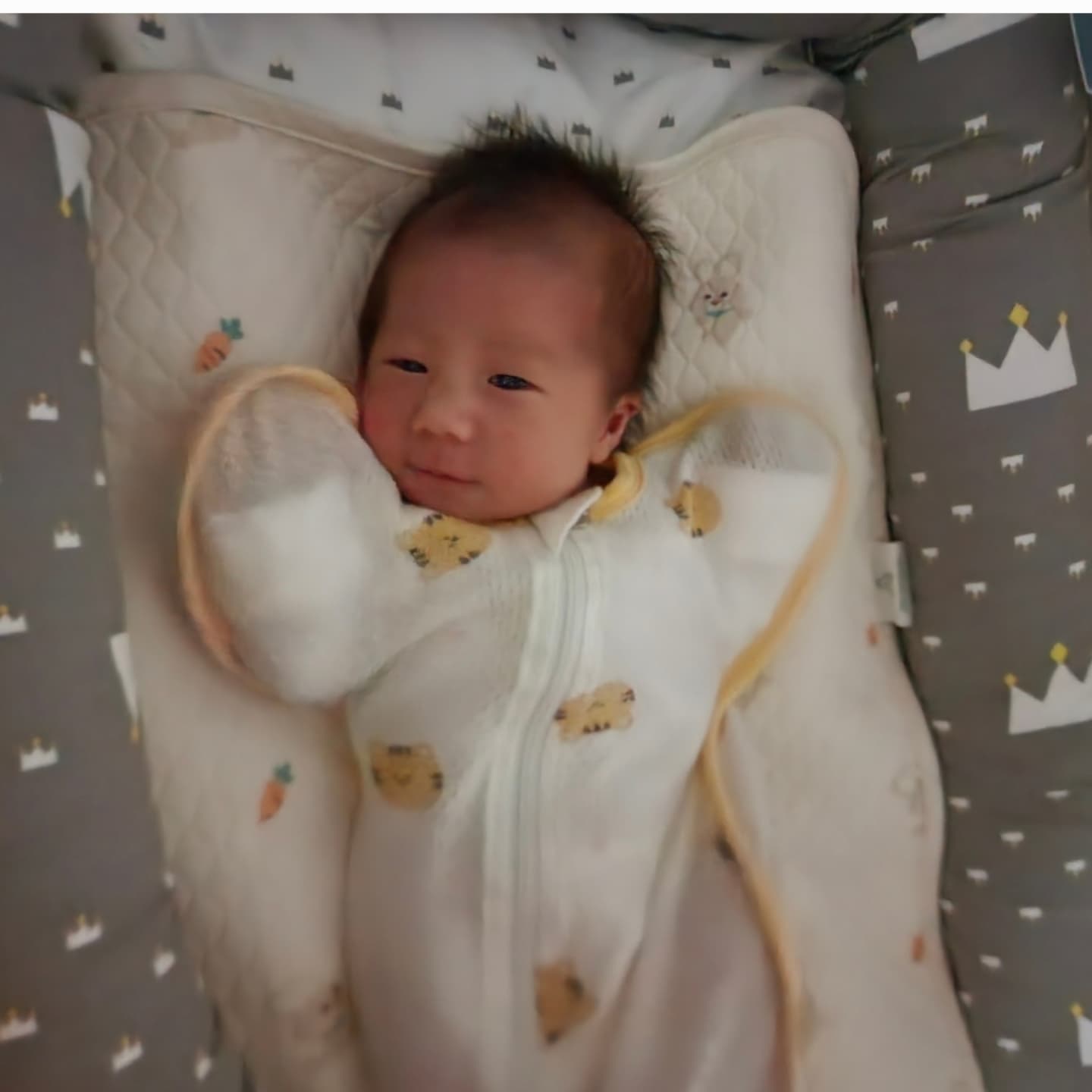 2년전 , 1년전 오늘 사진 보니 울애기 많이 컷다😆💜

쭌이와 함께한 호띠 친구들 , 호띠모임  소중하고 감사해😉

소중한 인연 ~ 오래오래 😃