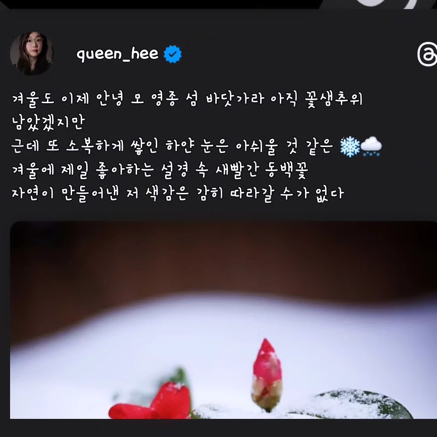 겨울도 이제 안녕 모 영종 섬 바닷가라 아직 꽃샘추위 남았겠지만
근데 또 소복하게 쌓인 하얀 눈은 아쉬울 것 같은 ❄️🌨
겨울에 제일 좋아하는 설경 속 새빨간 동백꽃
자연이 만들어낸 저 색감은 감히 따라갈 수가 없다