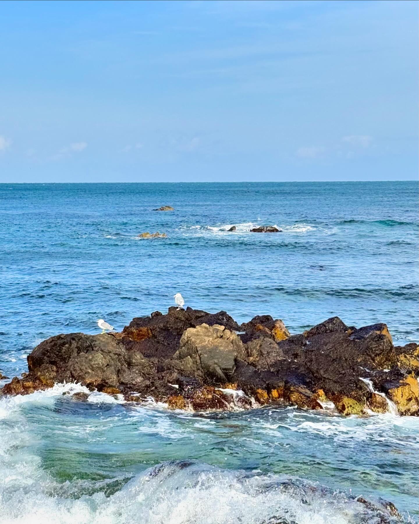240229-240302 포항여행🌊

처음 방문한 포항!
바다처돌이 2명이서 여수에 이어 두번째 여행
실컷 바다 보고 맛있는거 먹고 추위에 떨면서 또하나의 추억을 만들어었다