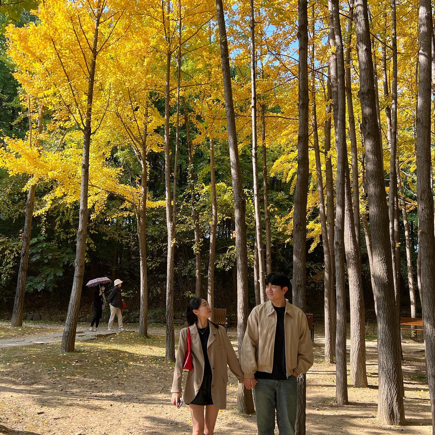 🍂Autumn🍂