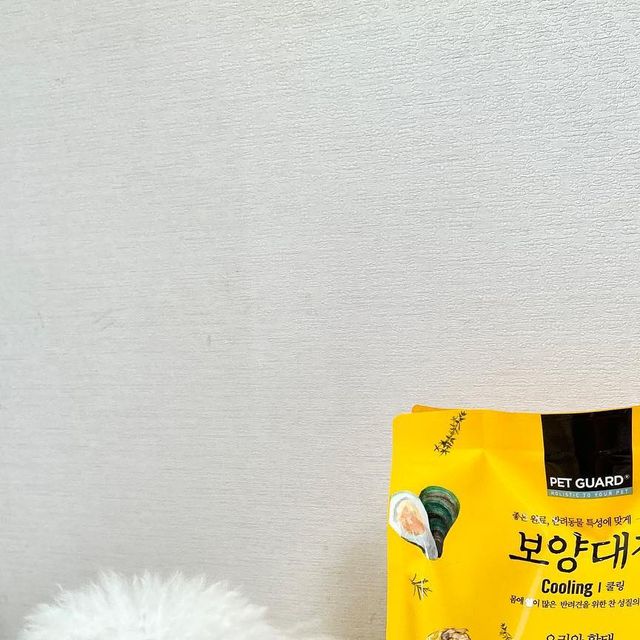 토이푸들 miro🤍 on Instagram: "💛#제품제공 #풉로깅 #빌리스벳 풉로깅 참여하구 선물도 받았어요😄 명예 풉로거에도 선정되어 다음 풉로깅에도 참여할 예정입니다 가을 풉로깅에 친구들도