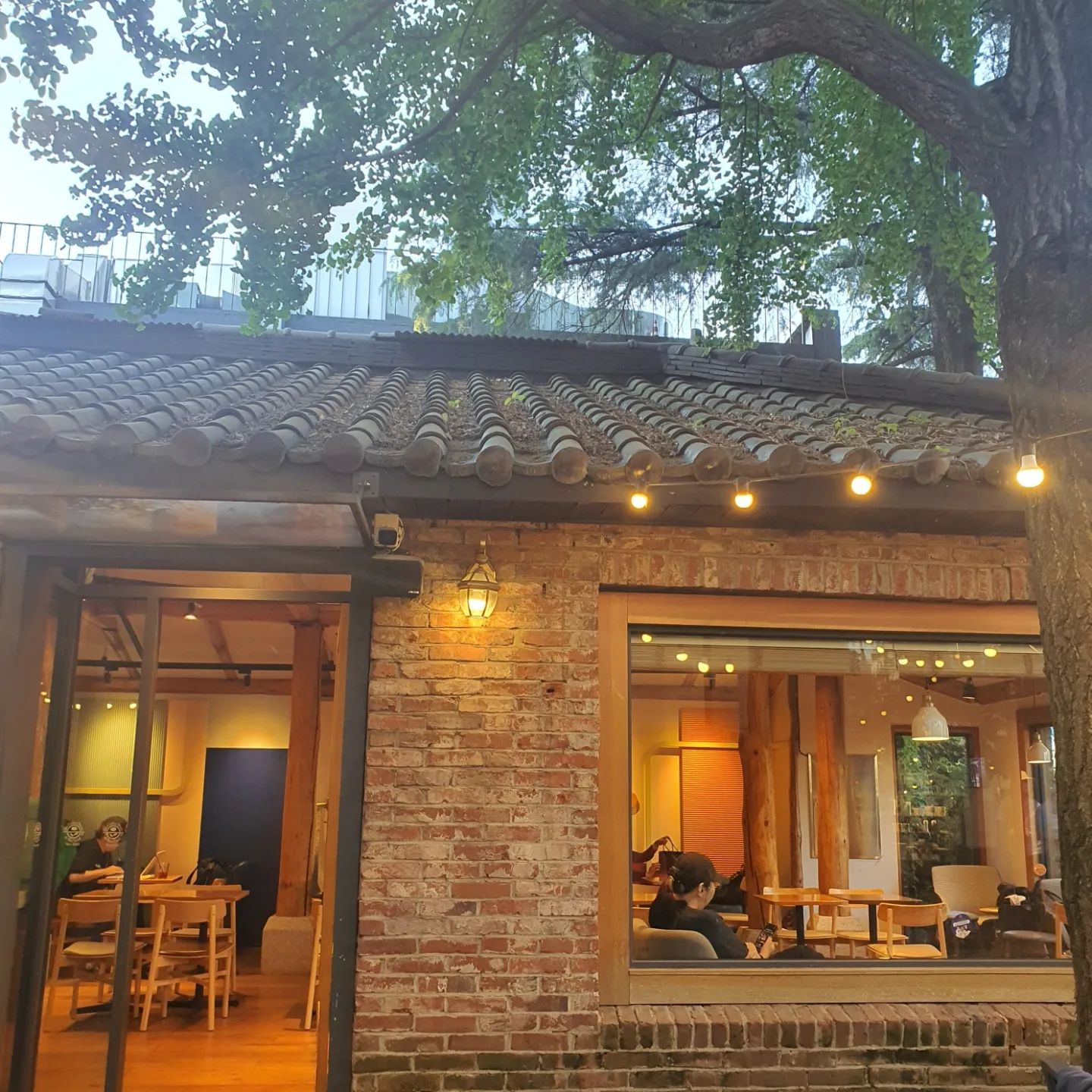 같이 강의를 들었던 지인중 일부 
열두분과 식사하고 커피 마시고 마무리~
가을 학기에 다시 만나기로 하고 헤어졌네요.
이렇게 새로운 인연이 생겨서
오늘도 즐겁습니다.

식사는 동대입구역에 있는 
장충동진두부집에서 들깨탕순두부 먹었고요.
식후 커피는 
커피빈 동대입구역점에서 아메리카노~~

다음에도 가고 싶은 카페네요.
길냥이도 자기집처럼 드나들고 
분위기도 너무 좋았습니다.

#새로운인연 # 장충동진두부집 #들께탕순두부
#커피빈 동대입구역점 #귀여운길냥이 #아메리카노
#분위기있는커피빈 #가을학기에만나요