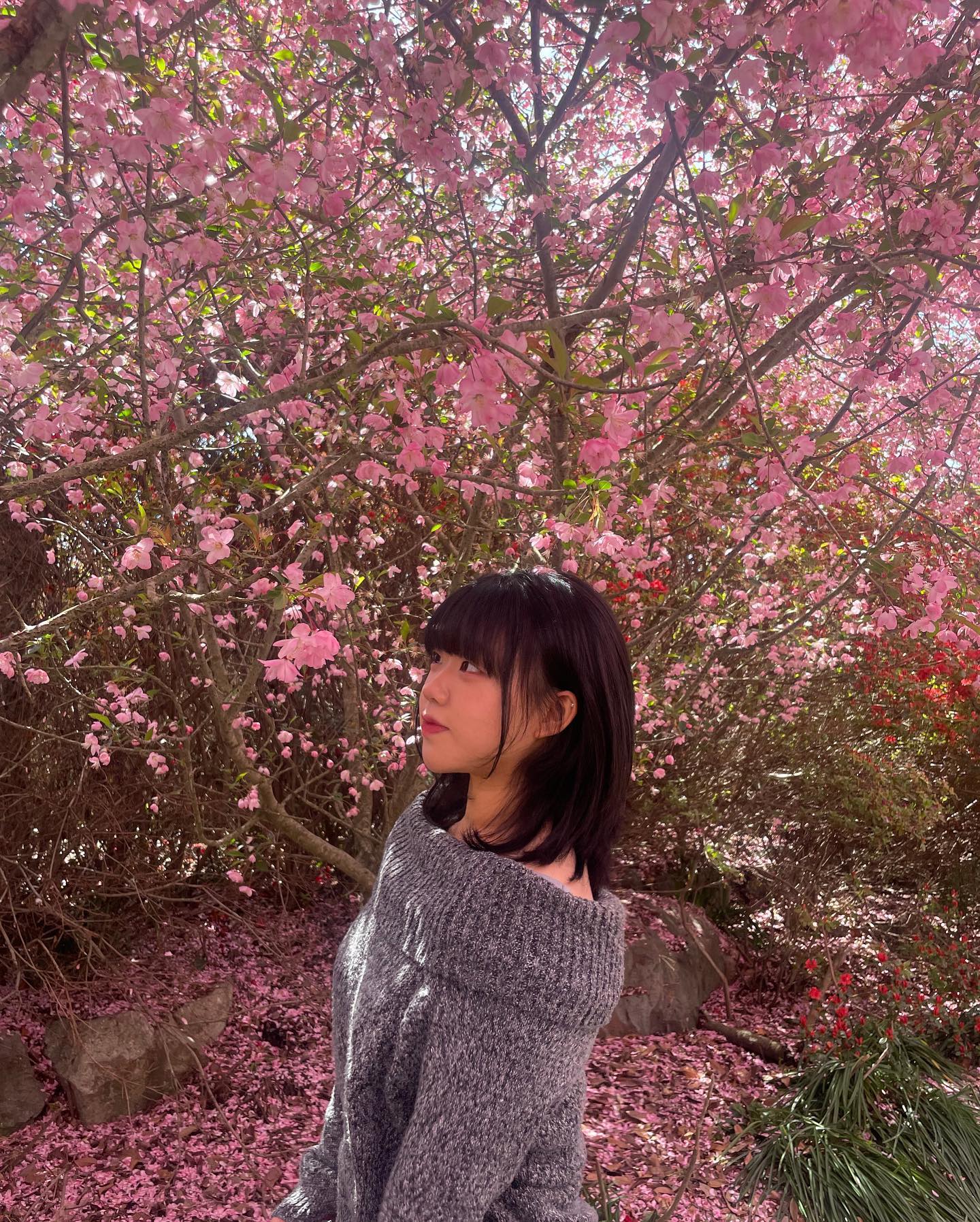 나 봄 조아하네 ~ . 🌷